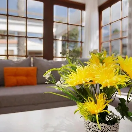 Vegas Golf 316 * Las Palmas de Gran Canaria