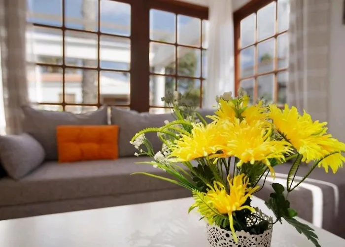 Vegas Golf 316 * Las Palmas de Gran Canaria